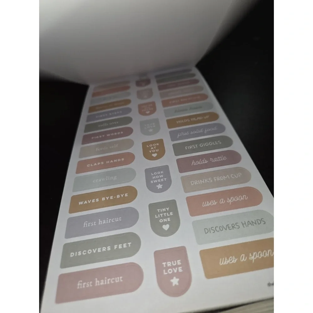 Happy Planner Little Love Parenting VALUE PACK STICKERS 780 stickers on 30 pages